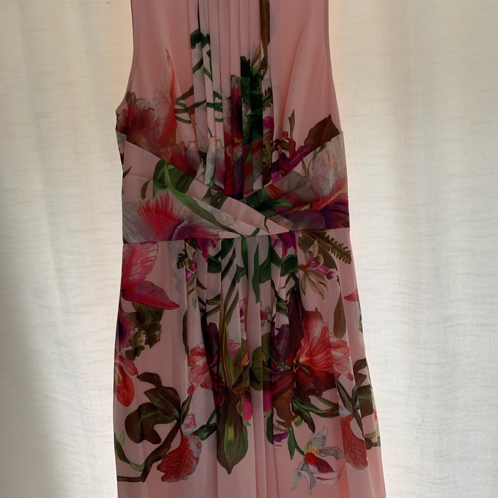 Ted Baker Size 2 Carlii dress - Picture 3 of 9